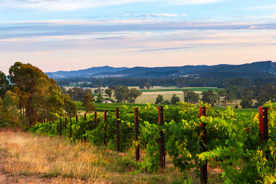 Stay in the King Valley